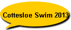 Cottesloe Swim 2013